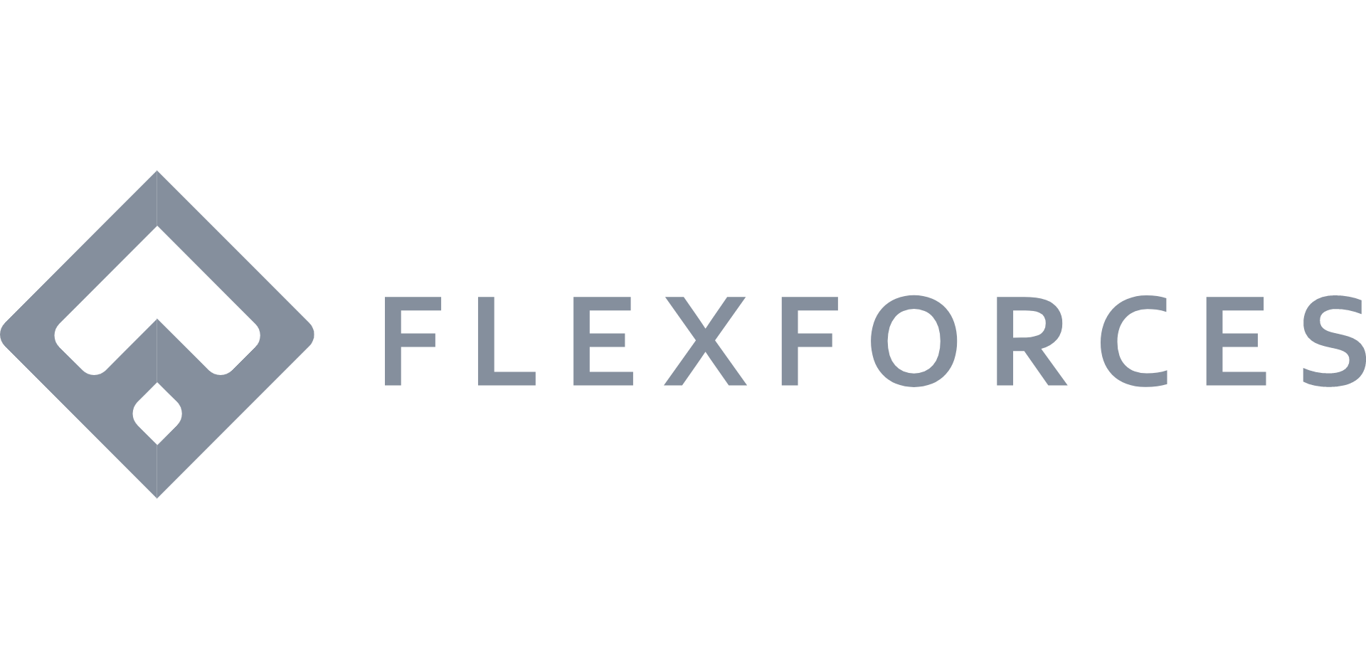 flexforces--copy-1
